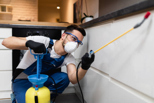 Best Exterminator Services  in Rialto, CA