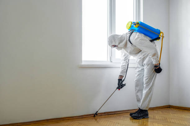 Best Pest Prevention Services  in Rialto, CA