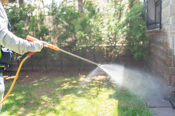 Best Wildlife Control Services  in Rialto, CA