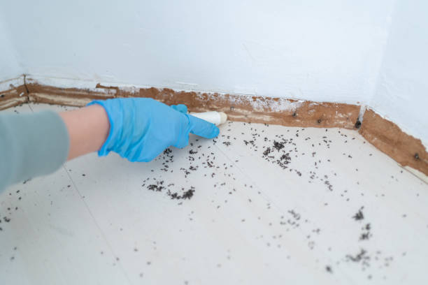 Best Pest Prevention Services  in Rialto, CA