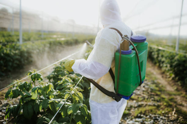 Best Pest Control Near Me  in Rialto, CA